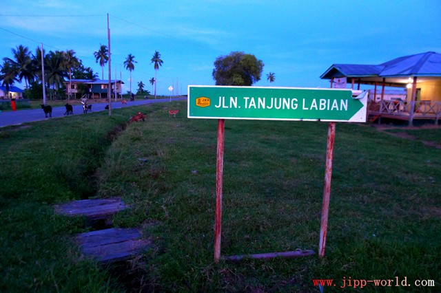 Jalan Tanjung Labian