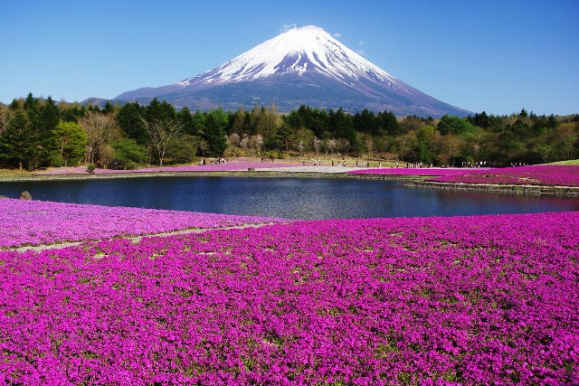 mt fuji 1